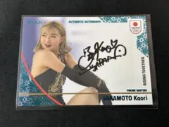 Item thumbnail for item 53e1b1e6-8eda-43b3-897e-50db04b6594b