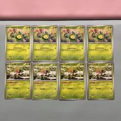 スボミー　シェイミ