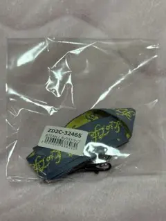&TEAM Backtolife ユニバ特典 ネックストラップ　未開封