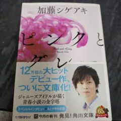 加藤シゲアキ 文学・小説