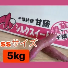 5kg 실크 스위트 SS 사이즈 지바현산 고구마