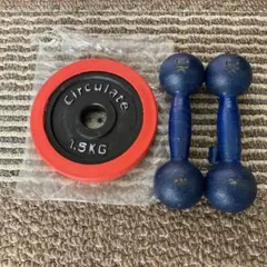 1kgダンベル2個と1.5kgプレートセットのサムネイル