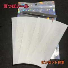 Item thumbnail for item e4cafd58-1f1f-400f-aa88-f4afadedb438