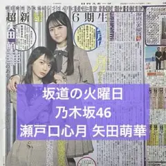 Item thumbnail for item 9e8a61b6-795f-47c8-a7aa-788426c49d78