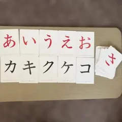 家庭保育園　[格安]カード大量 24時までタイムセール‼️家庭保育園 フラッシュカード、冊子、教材