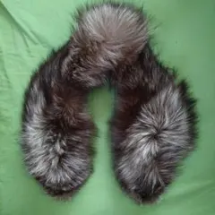 SAGA FOX ファーストール