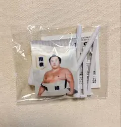 大相撲　ガチャ　翔猿　ミニのぼりマグネット