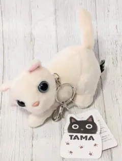 2025年最新】noa ぬいぐるみの人気アイテム - メルカリ