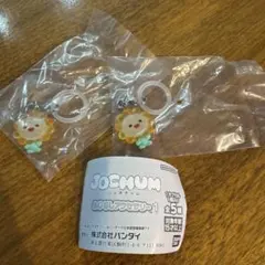 JO1 JOCHUM Bira めじるしアクセサリー2個セット