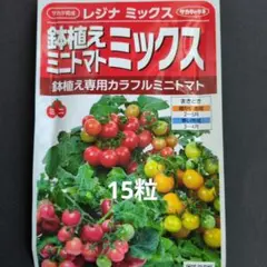 レジナミックス種　鉢植えミニトマト種15粒　矮性ミニトマト　サカタのタネのサムネイル