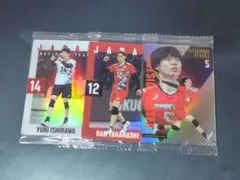 バレーボール男子日本代表ツインウエハース2025　3枚セット