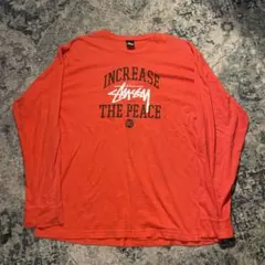 Stüssy ロングスリーブTシャツ XX-Large