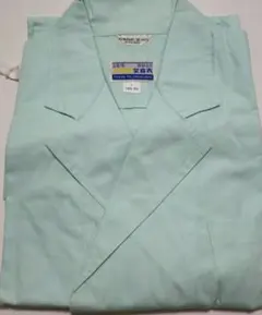 Item thumbnail for item 38ad0211-9d42-472e-a23a-7236ead2571e