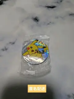 ピカチュウ ポケモンホログラムマグネット くら寿司 ビッくらポン