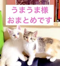 うまうま様 リクエスト 2点 まとめ商品