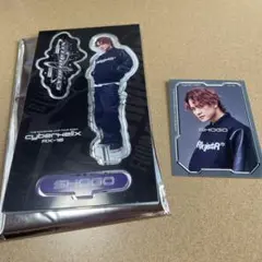 岩谷翔吾 アクスタ、フォトカード セット