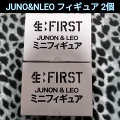 JUNON&LEO 新品 フィギュア 2個 BE:FIRSTサントリー生ビール