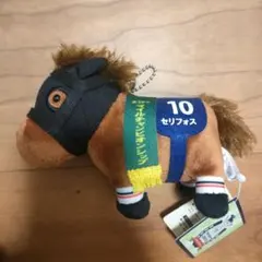 2026年最新】セリフォスぬいぐるみの人気アイテム - メルカリ