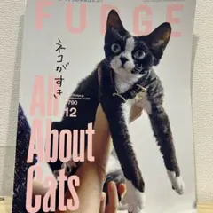 ⭐️FUDGE 2025年　１２月号⭐️