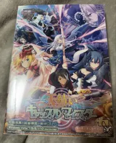 2026年最新】天結いキャッスルマイスター パーフェクトガイドブックの