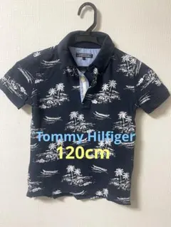 トミーヒルフィガー パームツリー柄 ポロシャツ