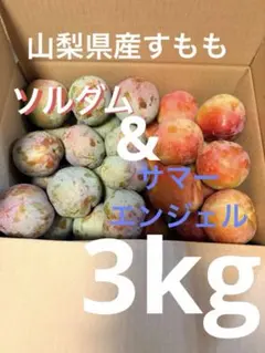 山梨県産すもも　ソルダム、サマーエンジェル　3kg 箱いっぱいのサムネイル