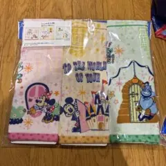 ディズニーキャラクター ミニタオルセット パーク購入
