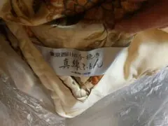 真綿 布団・毛布