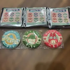 サンリオ　刺繍缶バッチ　サウナ　マイメロディ　ポチャッコ　シナモロール
