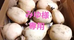 みゆ様専用