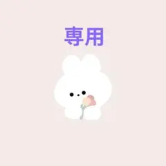 めいママ様 リクエスト 2点 まとめ商品