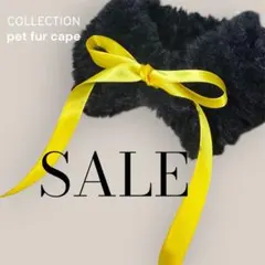 Item thumbnail for item c211efd8-b31f-4531-a358-06d44a18984e