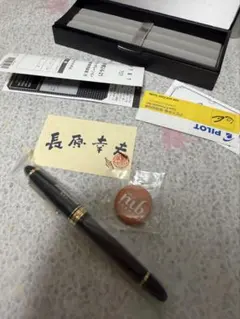 大橋堂 玉虫塗り 万年筆 植原榮一作 M中字 セーラー金ペン 箱付 仙台