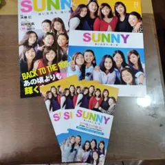 映画「SUNNY 強い気持ち・強い愛」フライヤー - メルカリ