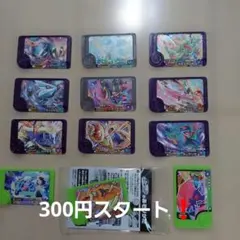 ポ*ポ様 ポケモンフレンダ　引退品
