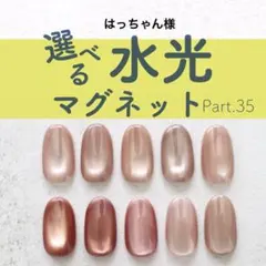 はっちゃん様専用 水光マグネット 349番