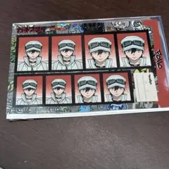 ガチアクタ　フォロ　証明写真館