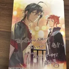 聖女の魔力は万能です ヴィジュアルボード - メルカリ