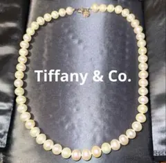 ♡極美品♡豪華♡Tiffany パール　ネックレス　ハードウェアのサムネイル