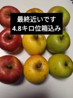 ざりがに様　　弘前産りんご　栽培中農薬不使用　9.8キロ梱包材込 栽培中農薬不使用 弘前産 りんご詰め合わせ 4キロ位梱包材込み - メルカリ