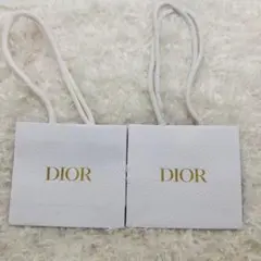 【2枚セット新品未使用】Dior　ディオール　ショッパー　プレゼントに用