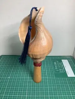 笛太郎　法螺貝2個 笛太郎 法螺貝2個 法螺貝（ほら貝）販売のお店