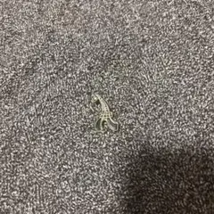 エビセンスケートボードピンズ タワー