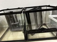 エキゾテラ　グラステラリウム3030×2 配管バックボード付き グラステラリウム3030 エキゾテラ GEX ガラス飼育ケージ 販売 通販