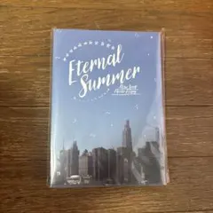 Eternal Summer New York Photo Diary