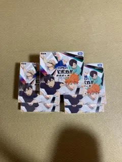 ハイキュー!!バボカ!!BREAKゴミ捨て場の決戦HV-P01-004日向翔陽極