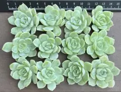 parpai.chan様 リクエスト 2点 まとめ商品