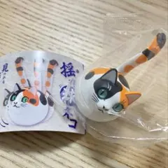 ちゃーちゃん様 リクエスト 2点 まとめ商品