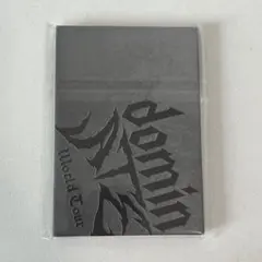 未開封 Stray Kids スキズ アプグレ特典 トレカ 匿名配送