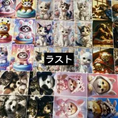 ラスト　5枚セット　猫柄　犬柄　パネル生地　45個　高品質コットン生地